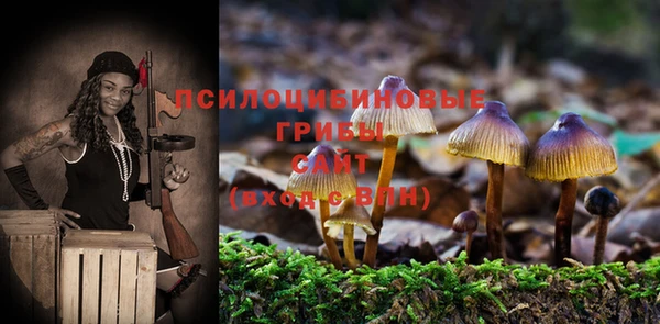 тгк Абинск