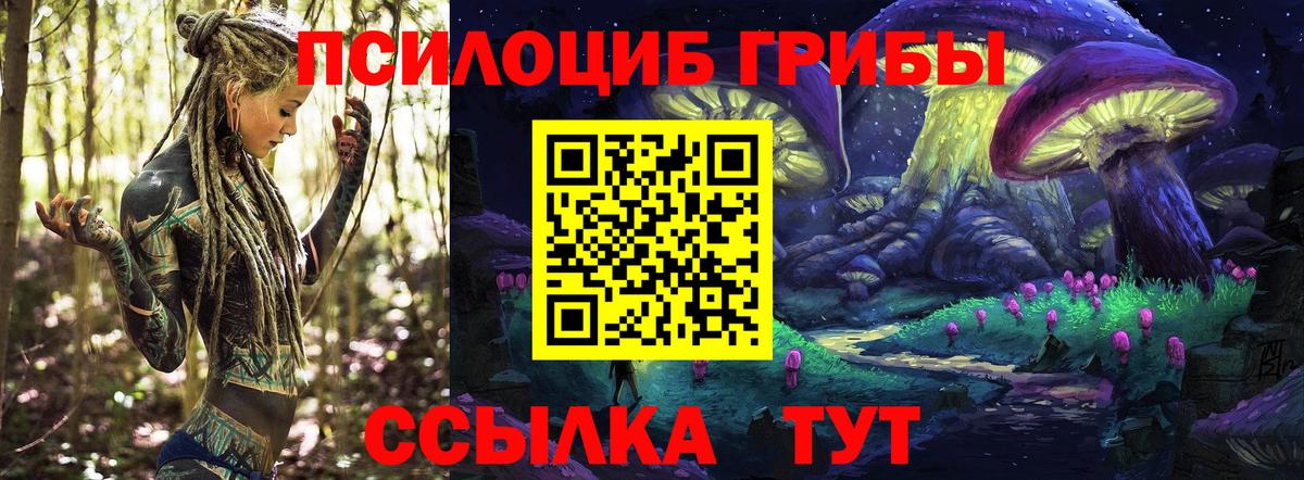 Бугуруслан  Галлюциногенные грибы Magic Shrooms  Вход с VPN  Псилоцибиновые грибы Magic Shrooms 
